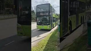 [G-AS] SG5919E On Service 85 - MAN ND323F A95 Euro 5 Gemilang Batch 3