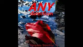 Pierpaolo Beretta - I wish they were here