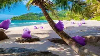 Pokémon GO: 2022 April Fools Joke (2 Oh? 22) 😂