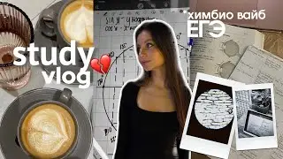 STUDY VLOG 🔬 | учусь по 10 ЧАСОВ в день | НЕДЕЛЯ УЧЕБЫ в 11 классе | подготовка к ЕГЭ |химбио версия