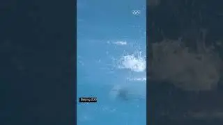 5 golden dives 🥇👏 Men's 10m platform