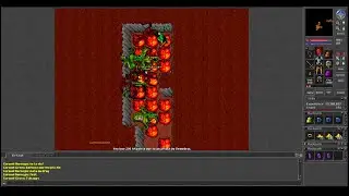 Old Tibia - Coronel Bornegio & Green x Demodras (Pythera 2005 7.5)