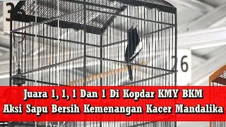 Baru Di Take Over, Kacer Mandalika Milik Mr Dwi Sampit Langsung Cetak Kemenangan Quatrick