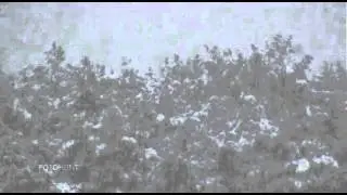 José Gonzáles - Heartbeats