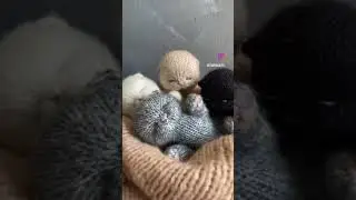 Котята спицами (пока без МК, если будет отклик, сделаю :) 