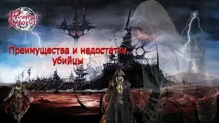 Killer, advantages and disadvantages [Perfect World guide]