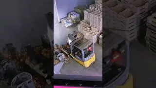 Subscribe 