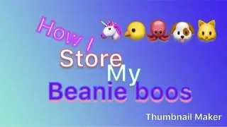 How I store my beanie boos