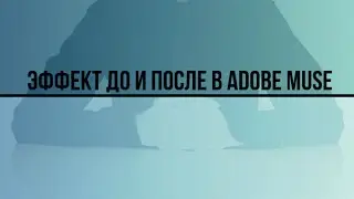 Создание эффекта До и После в Adobe Muse