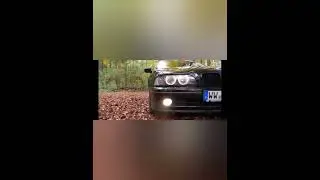 #bmv