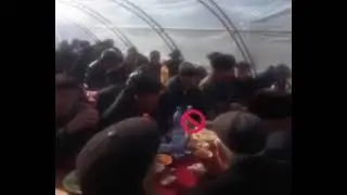в парнике свадьбы