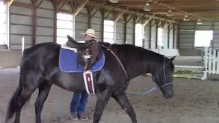 Davin Rudy on Softness and Bend in the Halter