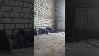 Саня заворачивает шурупы. работа кипит 👍