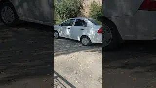 Серёга-Весна🥰