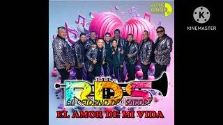 Movimiento De Cadera - RDS El Retorno del Sabor