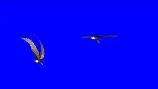 bluescreen eagles