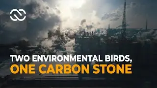 Two Environmental Birds, One Carbon Stone