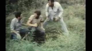 Spalding Gray in 