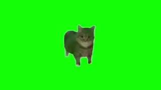 spinning cat meme (green screen)