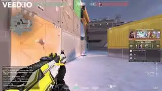 Camel 4.mp4