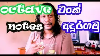 octave(Blaze Studio - Music Production) by tony M