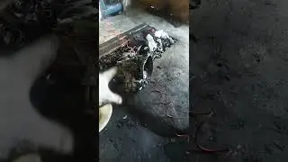 Прикол на СТО.  Всегда машины идут парами