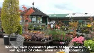 Monkton Elm Garden Centre