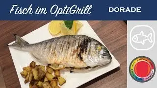 Fish in the T-Fal OptiGrill