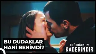 Mehdi Zeynep'e Olan Aşkından Vazgeçebilir Mi? | Doğduğun Ev Kaderindir
