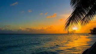 In Your Fantasy [Playa de Palma Mix] - Cafe Americaine