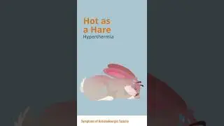 Medical Mnemonic: Anticholinergic Toxicity | Merck Manuals