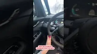 Здоровенный Zeekr 009. 