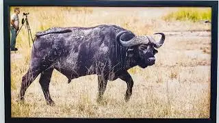 O MESTRE DA FOTOGRAFIA NA ÁFRICA