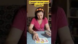 Сведет ли вас еще судьба? 