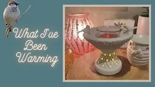What I've Been Warming | Scentsy