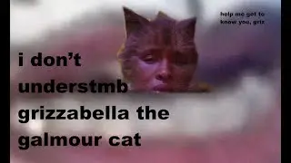 i don't understand grizabella the glamour cat