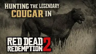 Hunting the legendary Cougar in Red Dead Redemption 2