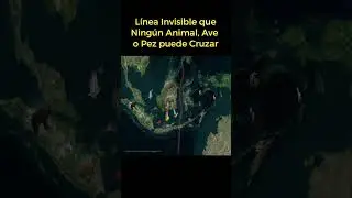 Línea invisible que nadie puede cruzar