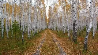 Танго-Осень, прозрачное утро...