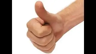 ОТЗЫВЫ ПОСЛЕ СВАДЬБЫ