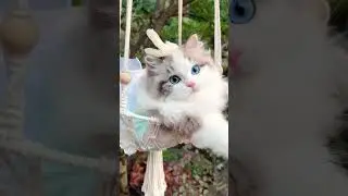 “俏丽若三春之桃，清素若九秋之菊”