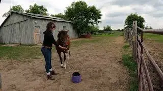grooming routine with Lilly
