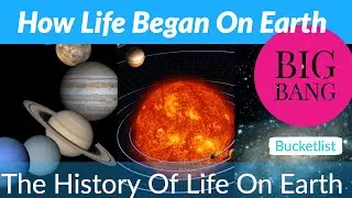 The Origin Of Life and It's Evolution - Big Bang Theory