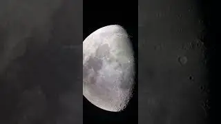 Falcon on the Moon #UFO