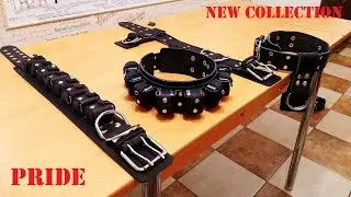 НОВЫЕ МОДЕЛИ ОШЕЙНИКОВ !!!