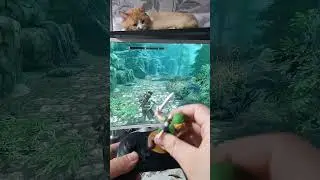 Что там с The Elder Scrolls V: Skyrim на Nintendo Switch?
