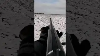 ОХОТА НА ЗАЙЦА ! 