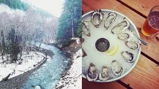 Hamma Hamma Rec Area and Oyster Saloon | PNW DAY TRIP! | Full Time RV Life || AT HOME ON THE GO