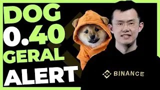 DOG GO TO THE MOON ALERTA GERAL