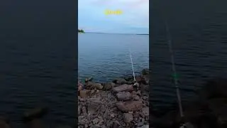 3 июля 2024 г.